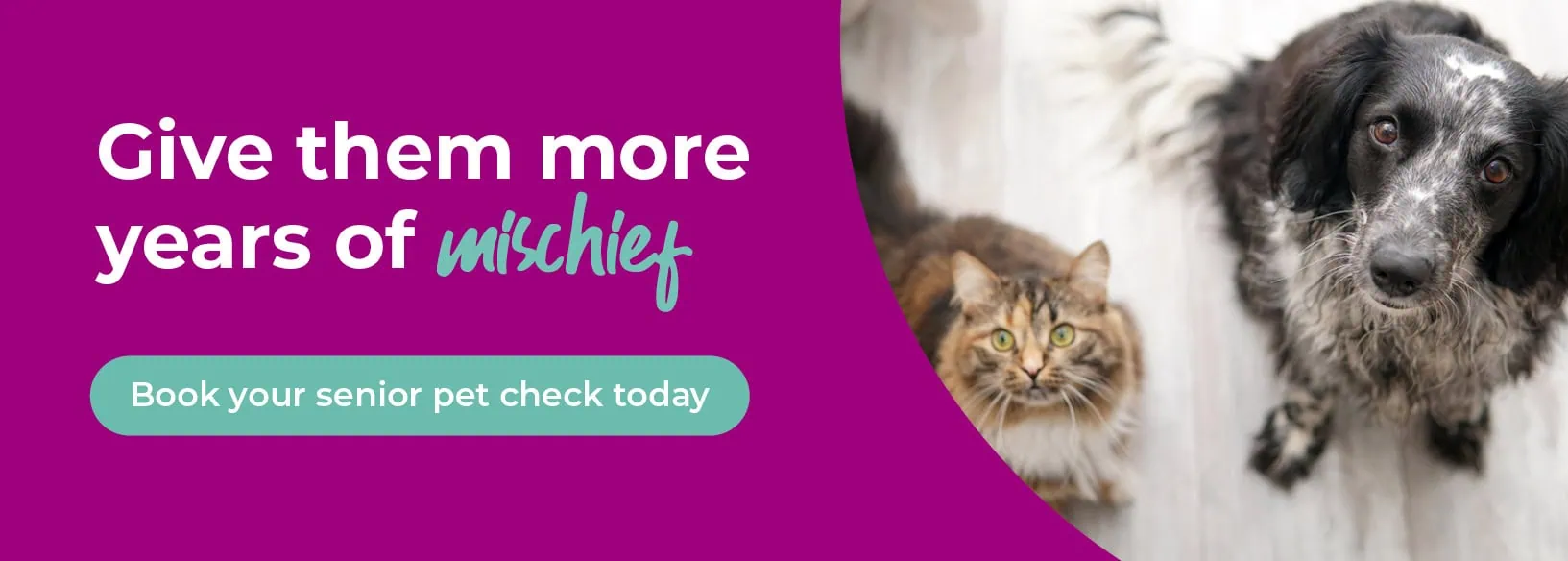 The Barn Animal Practice - Vets in Basingstoke