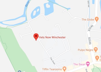 Vets Now Alresford