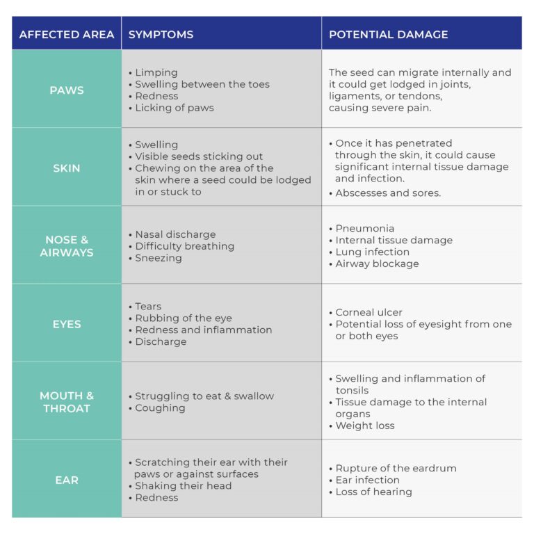 symptoms table