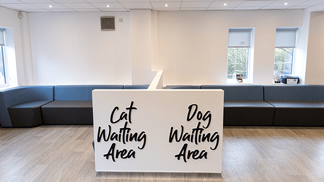 dog and cat waiting areas at barn practice in basingstoke