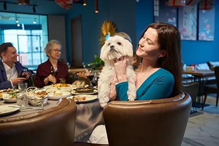 dogs-in-pubs