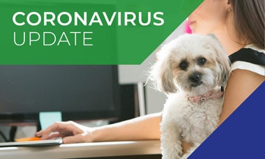 Corona-virus FAQs