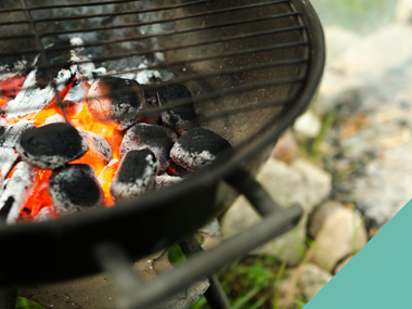 bbq dangers to pets