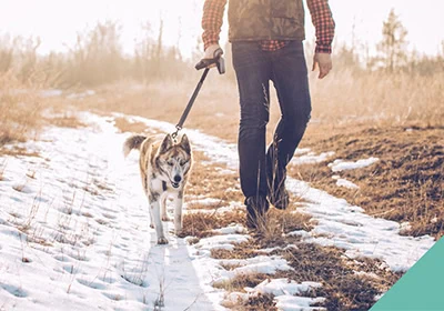 Walking your dog