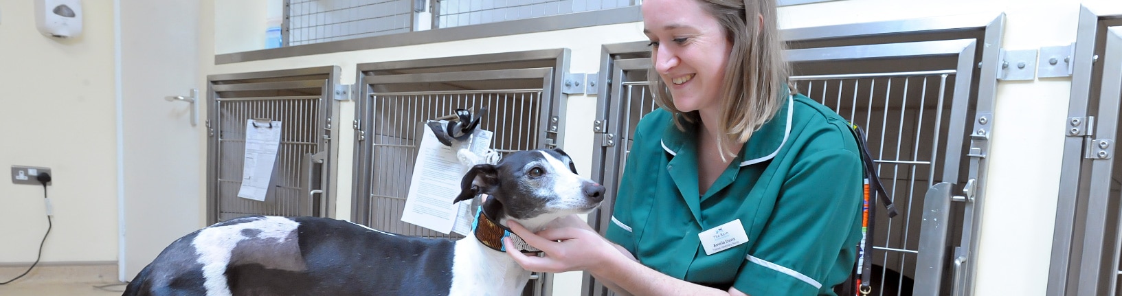 Careers at The Barn Animal Hospital