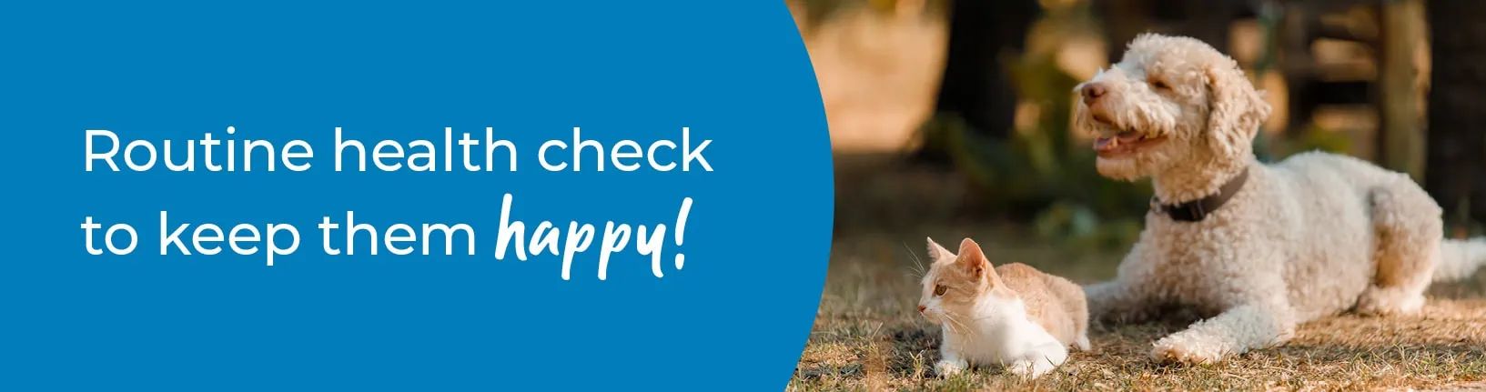 Pet Health Check in Basingstoke | Preventative Vet Care