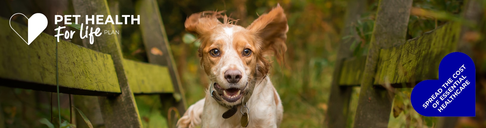 Dog Pet Health for Life Plan