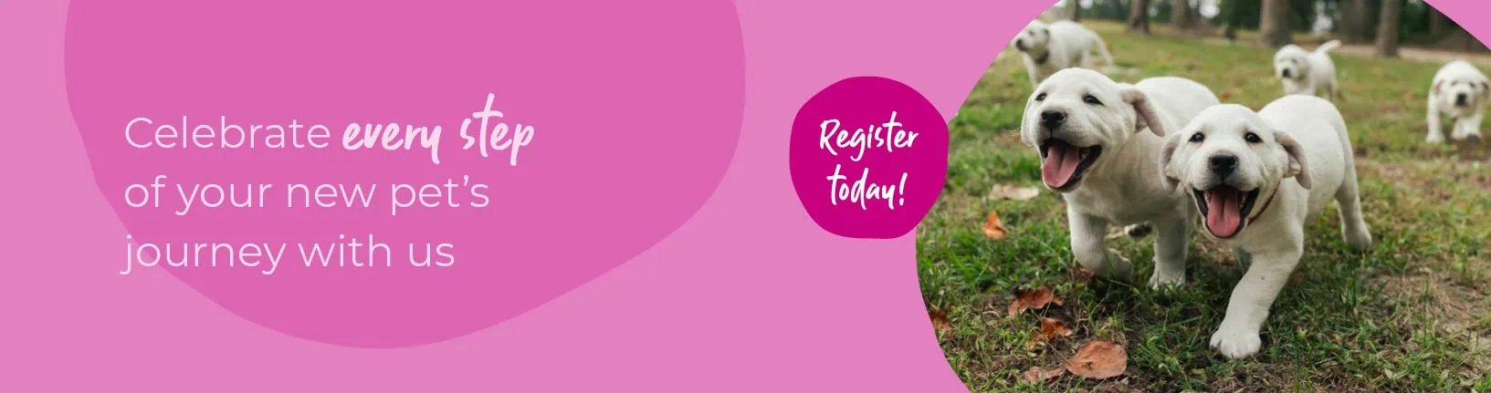 Start of Life for Your Puppy or Kitten