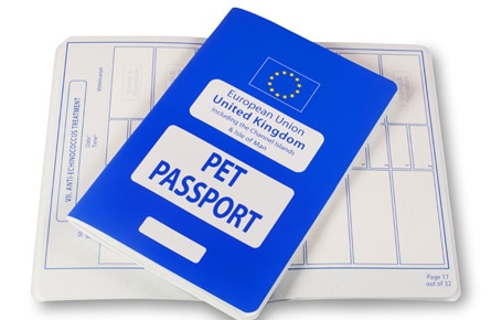 services pet passports