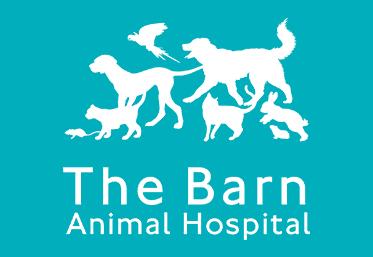 Common Breed Health Overviews