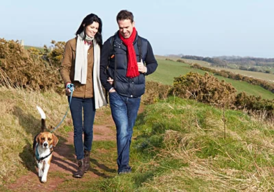 How do you show your pet affection?